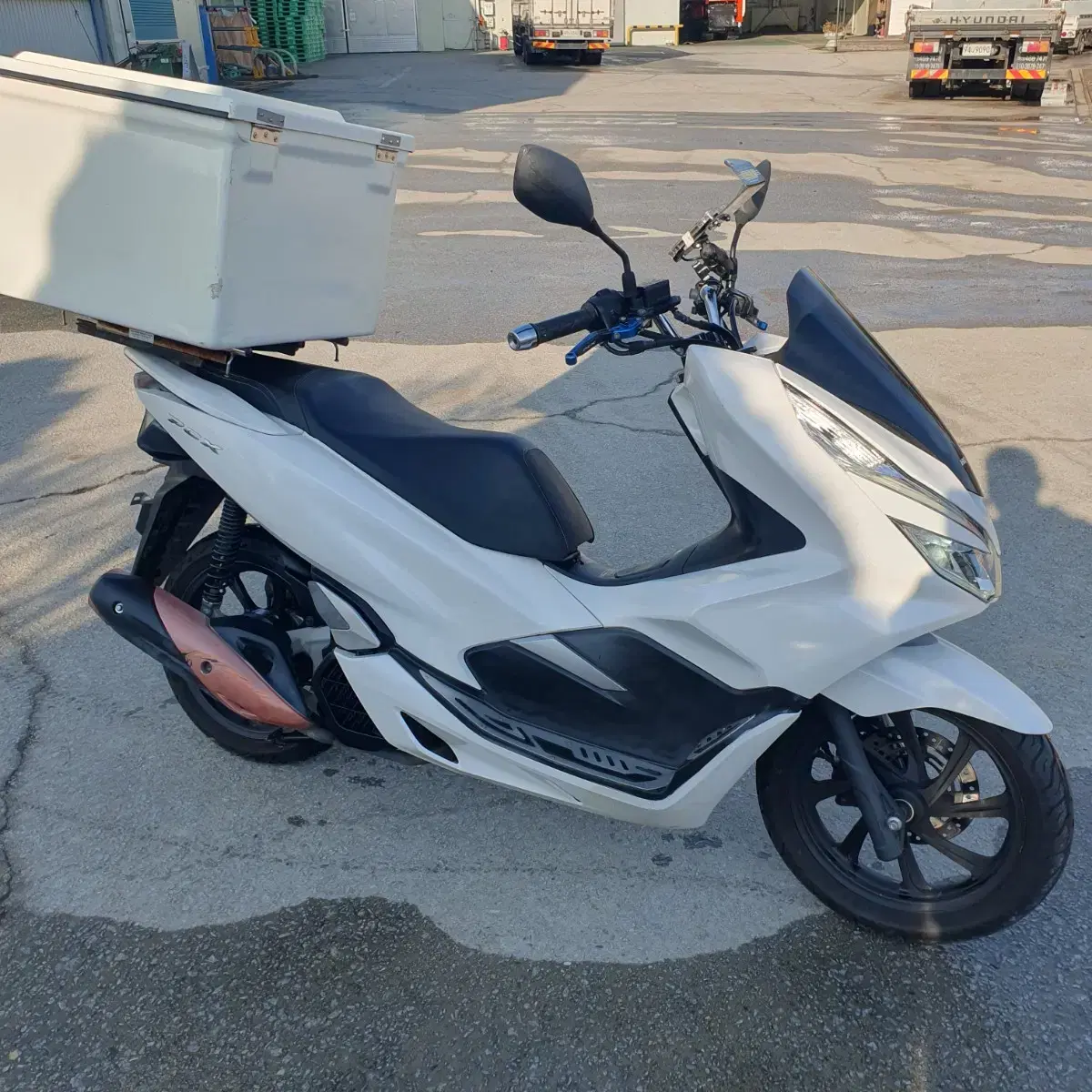 더뉴pcx125cc (nmax125 벤리110 포르자300