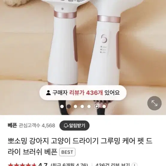 [새상품]BEPPEN 베픈 드라이 브러쉬+실키 에센스, 펫드라이