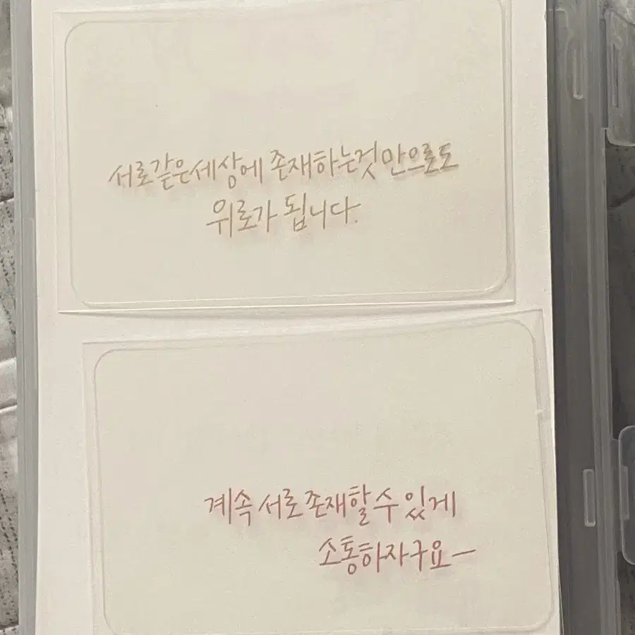 안효섭 캘리투명포카