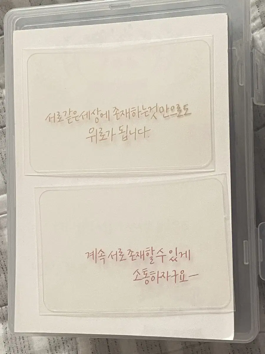 안효섭 캘리투명포카