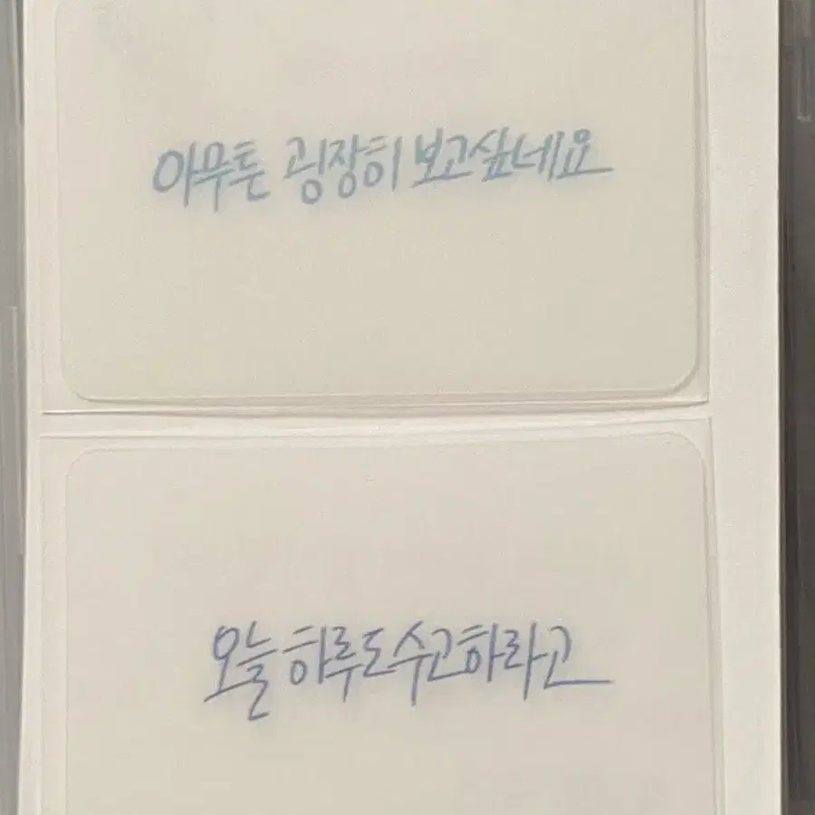 안효섭 캘리투명포카