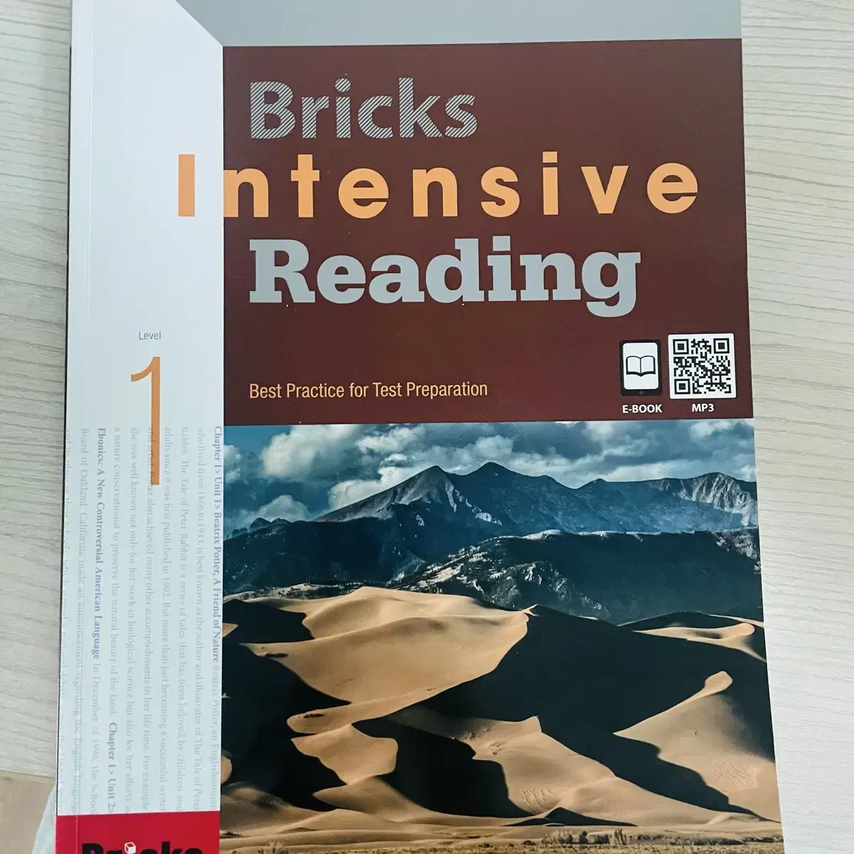 Bricks Intensive Reading1