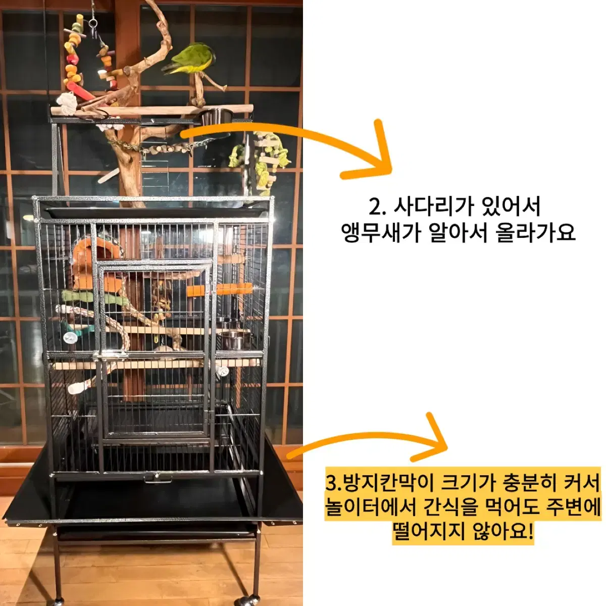 앵무새 새장 날림장