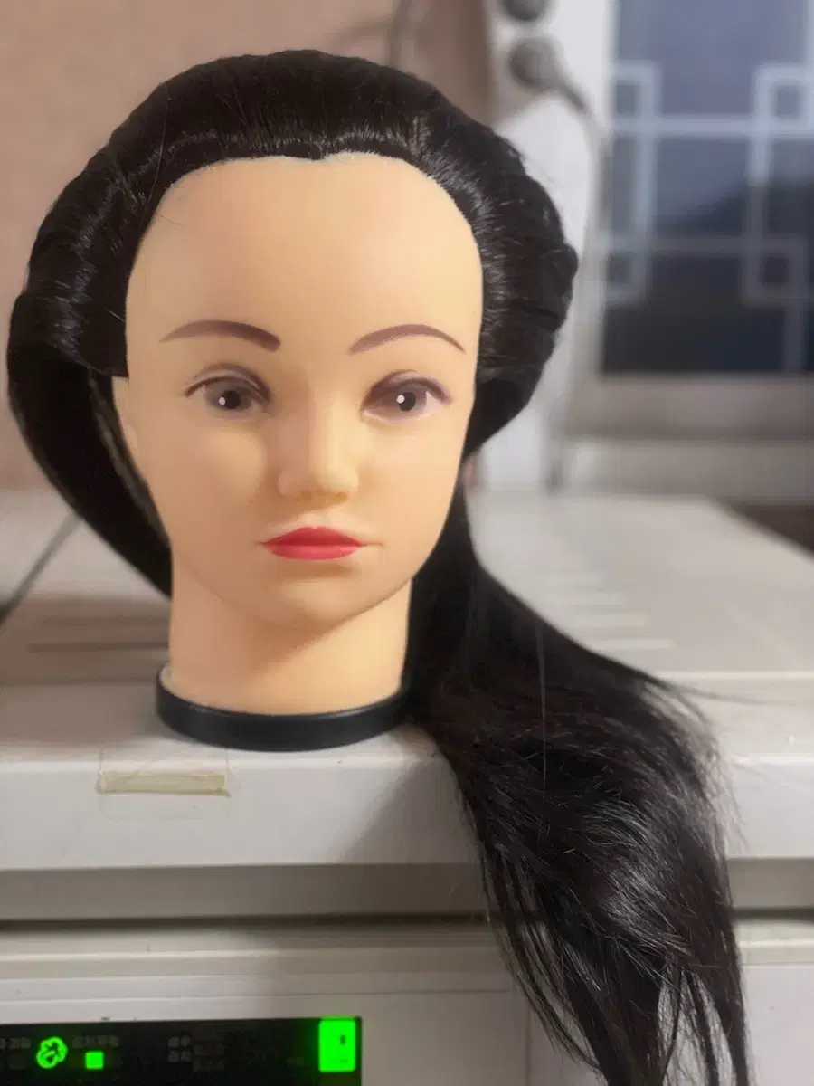 Whole wig for practicing hairdressing skills