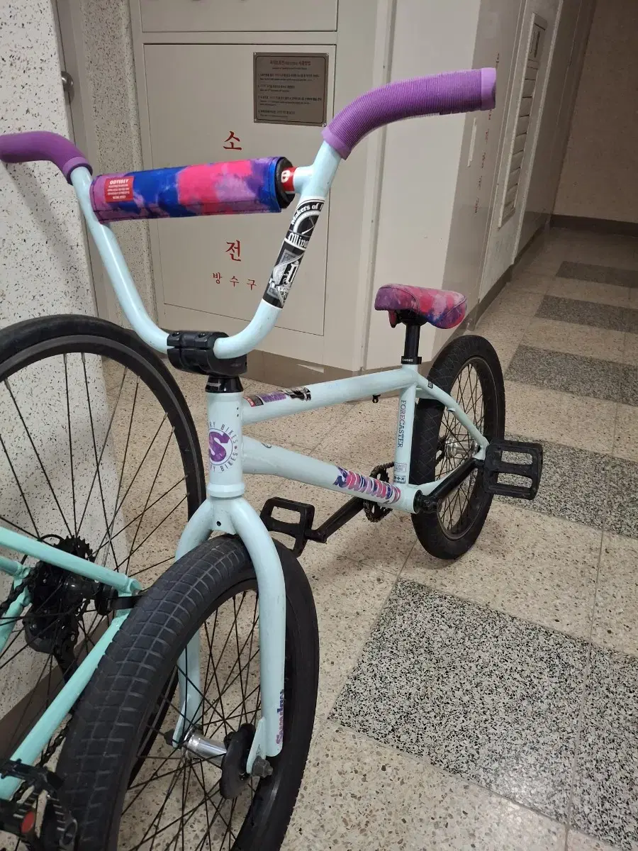 선데이 포어케스터 한정판 bmx 판매/대차