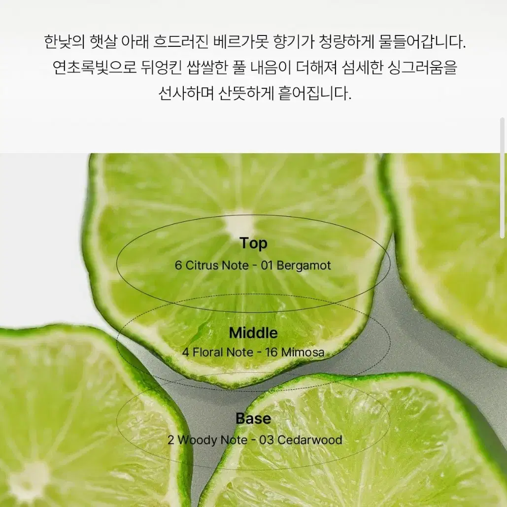 새상품*에이딕트 필 더 베르가못 향수