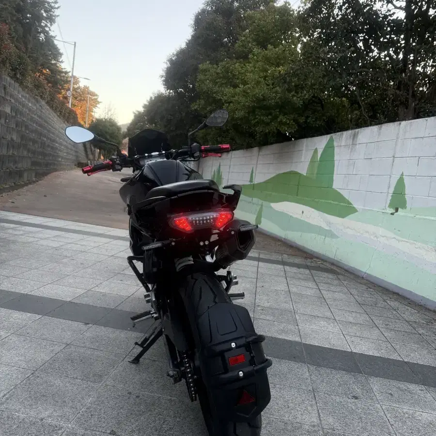 튜닝 bmw g310r