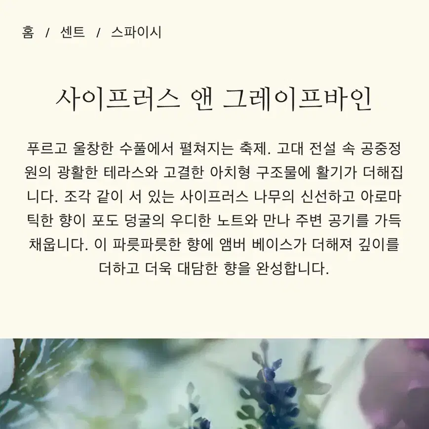 조말론 사이프러스 앤 그레이프바인 50ml