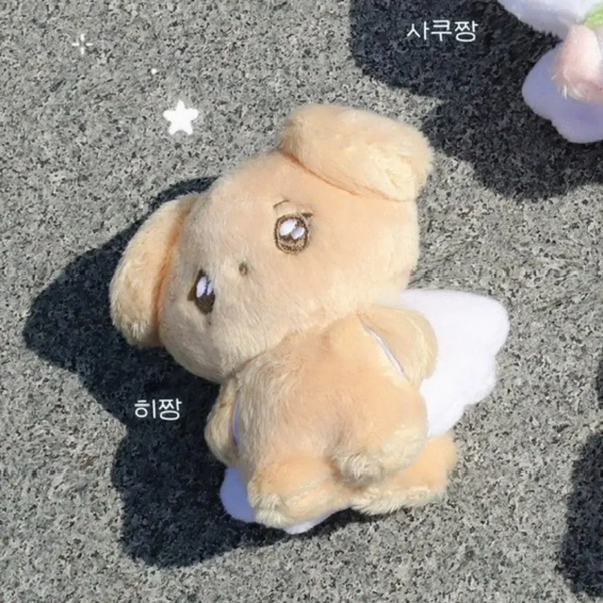 위니멀즈 히짱 엔시티 위시 재희 10cm 인형 NCT WISH