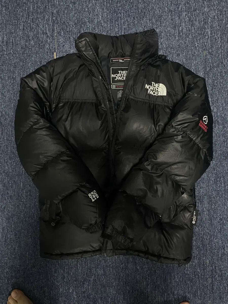 The North Face Nupsi 850 LTD