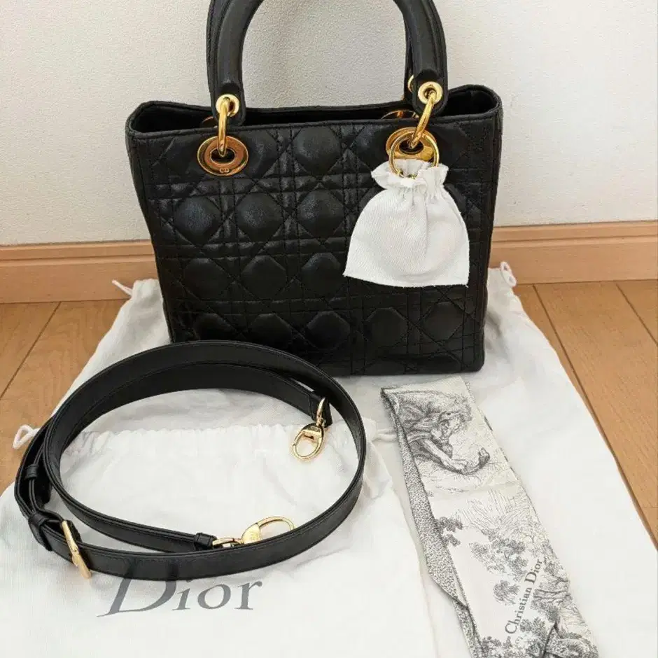 Dior 레디올 카나지백  블랙