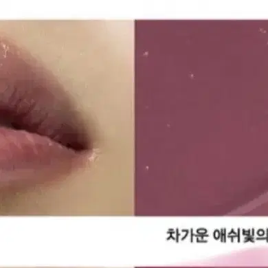 네이밍 듀이 글래스 틴트 하운드