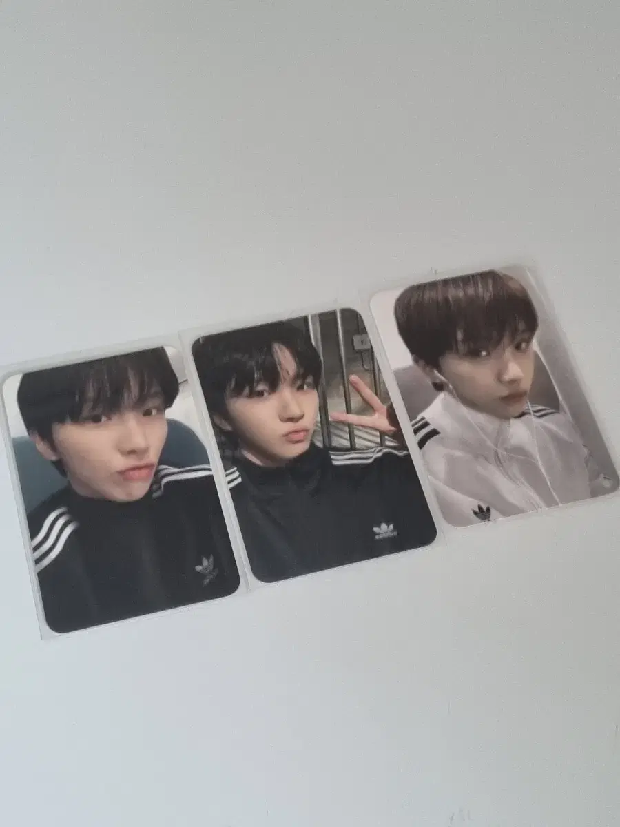 boynextdoor boynextdoor woonhak unofficial goods adidas photocard photocard wts