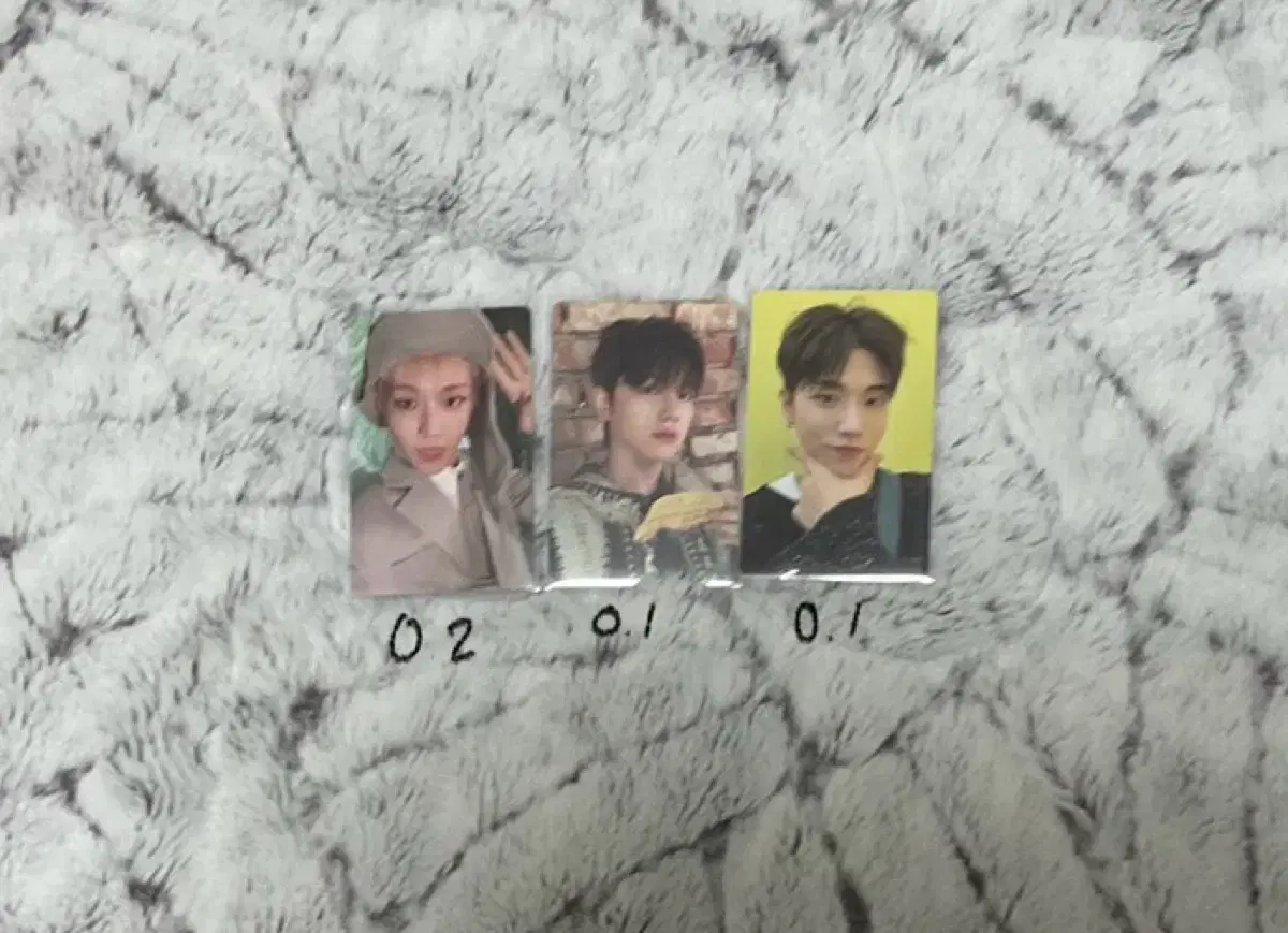 Boynextdoor Sungho RiuJaehyun LeeJaehyun LeeWoonhak Photo Card