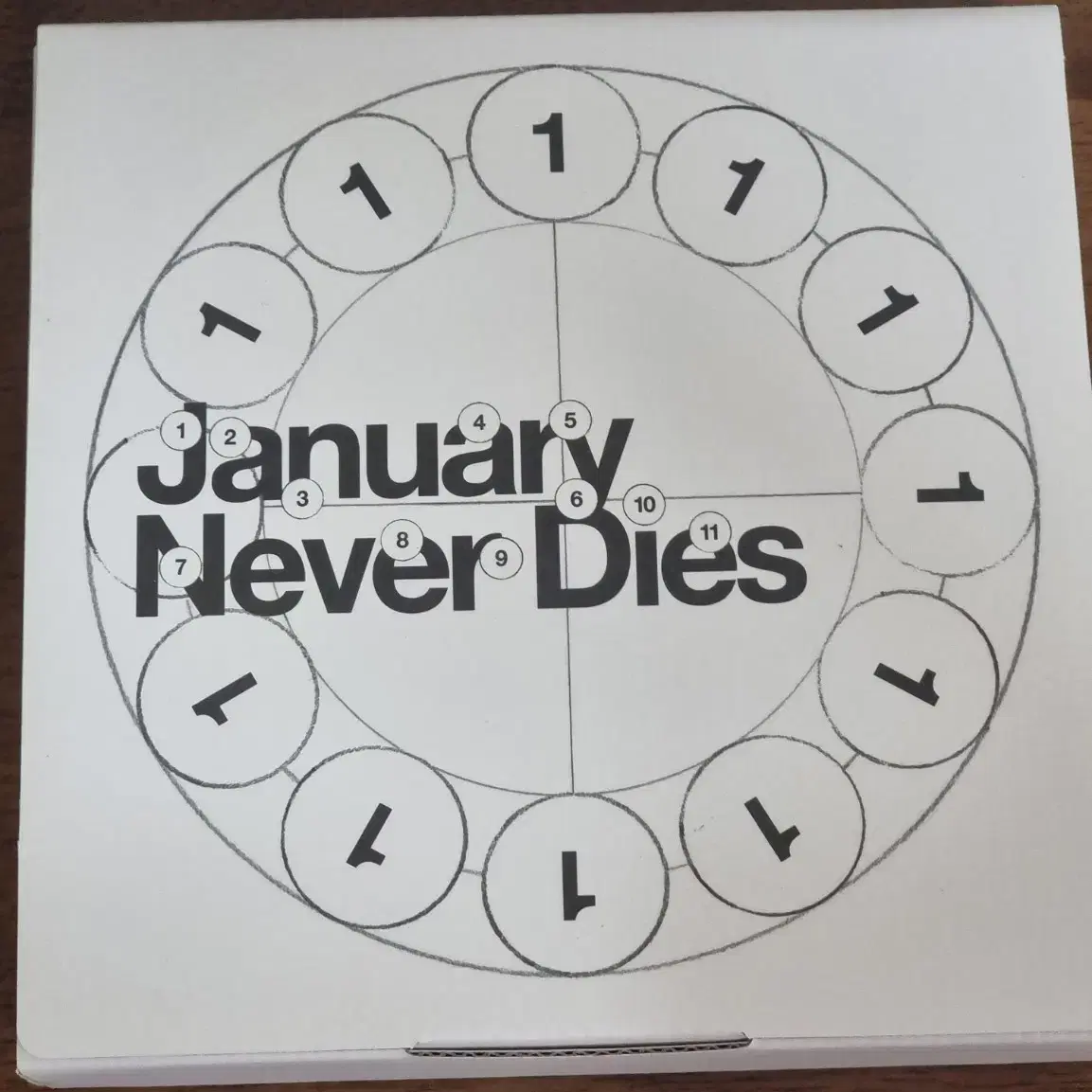 바밍타이거 앨범 January Never Dies 팝니다.