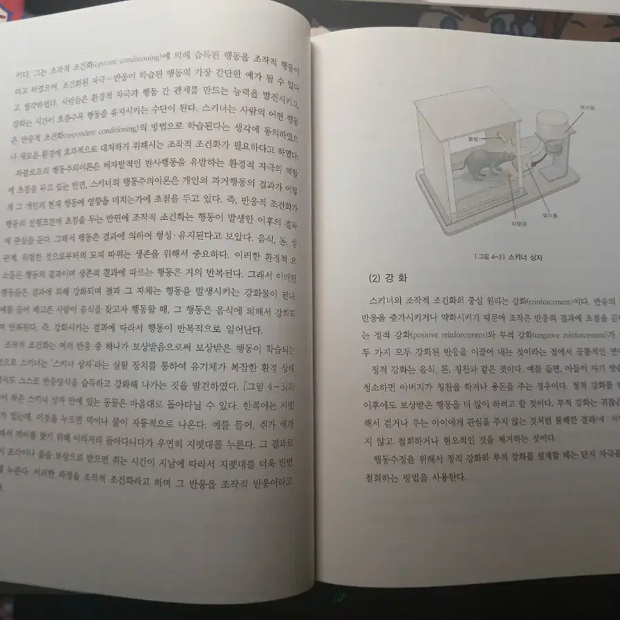 인간행동과 사회환경