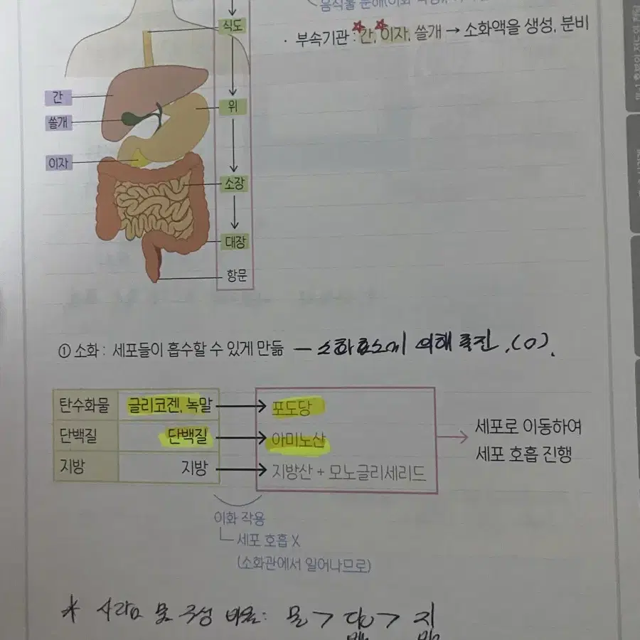 대성 생명 박선우 씨드 개념노트 팔아요