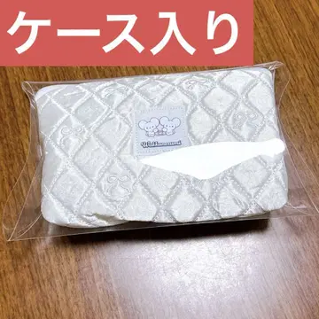 포켓몬 남코 한정판 파우치 와카네즈미 미사용 새상품