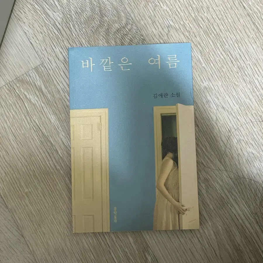 바깥은 여름 책