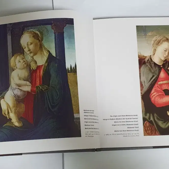 보티첼리 Botticelli 명화 도록 예술 도서 서적 아트