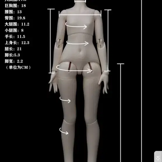 중국 가드러브사 msd 미백바디