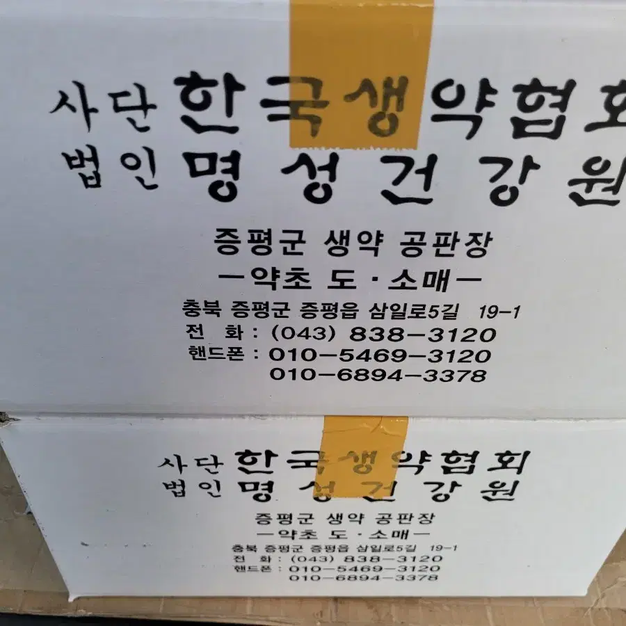 임산부 건강 회복: 토종대추 넣은 호박즙 55포