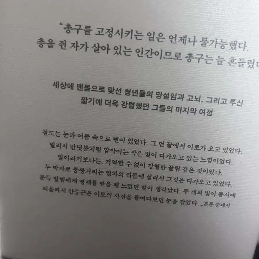 하얼빈 김훈 장편 소설 급처분