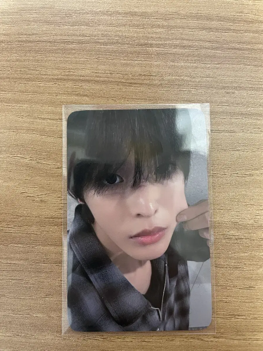 Riku Steady photocard wts