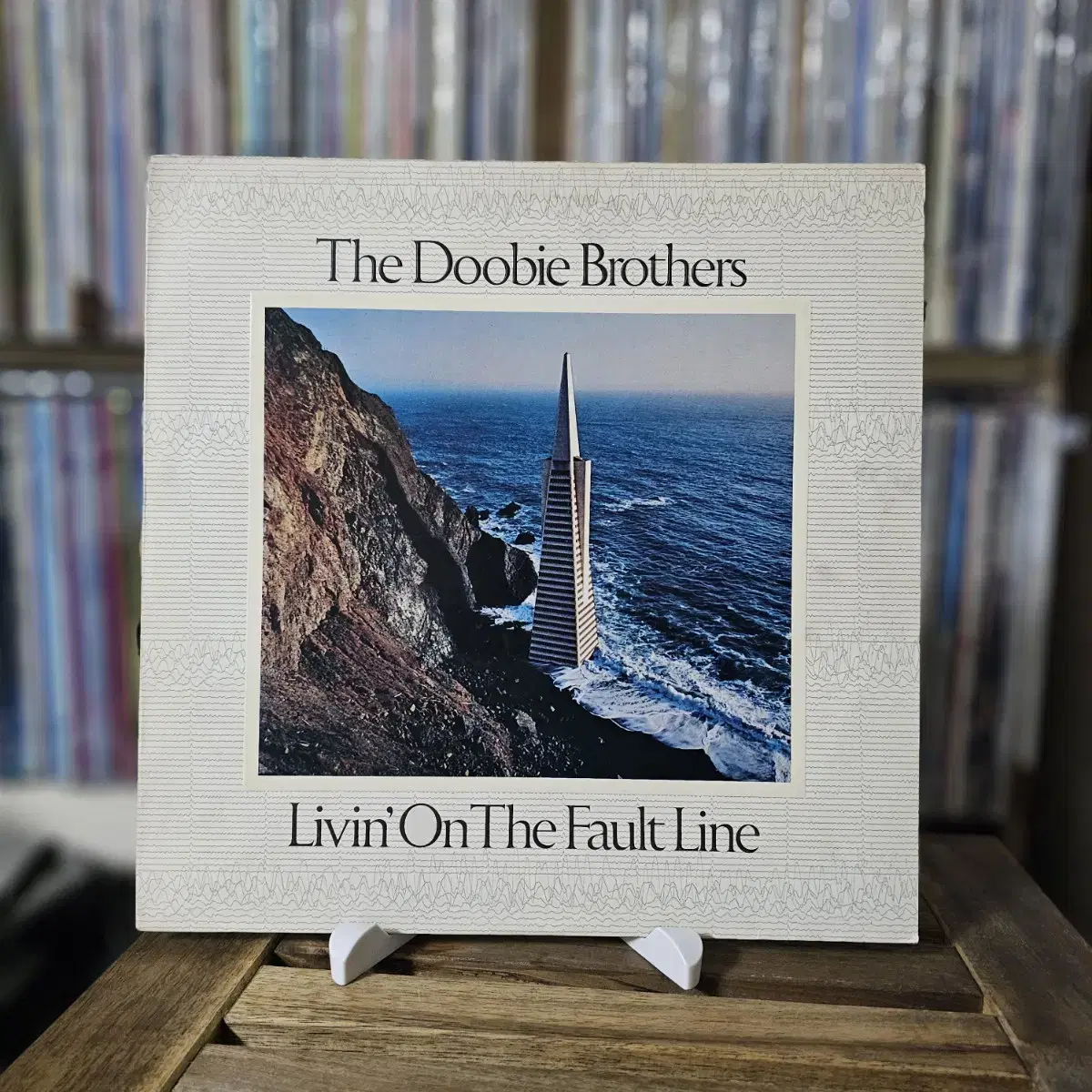 (두비 브라더스) The Doobie Brothers - 7집