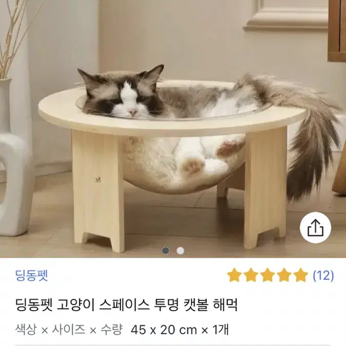 투명 캣볼 해먹