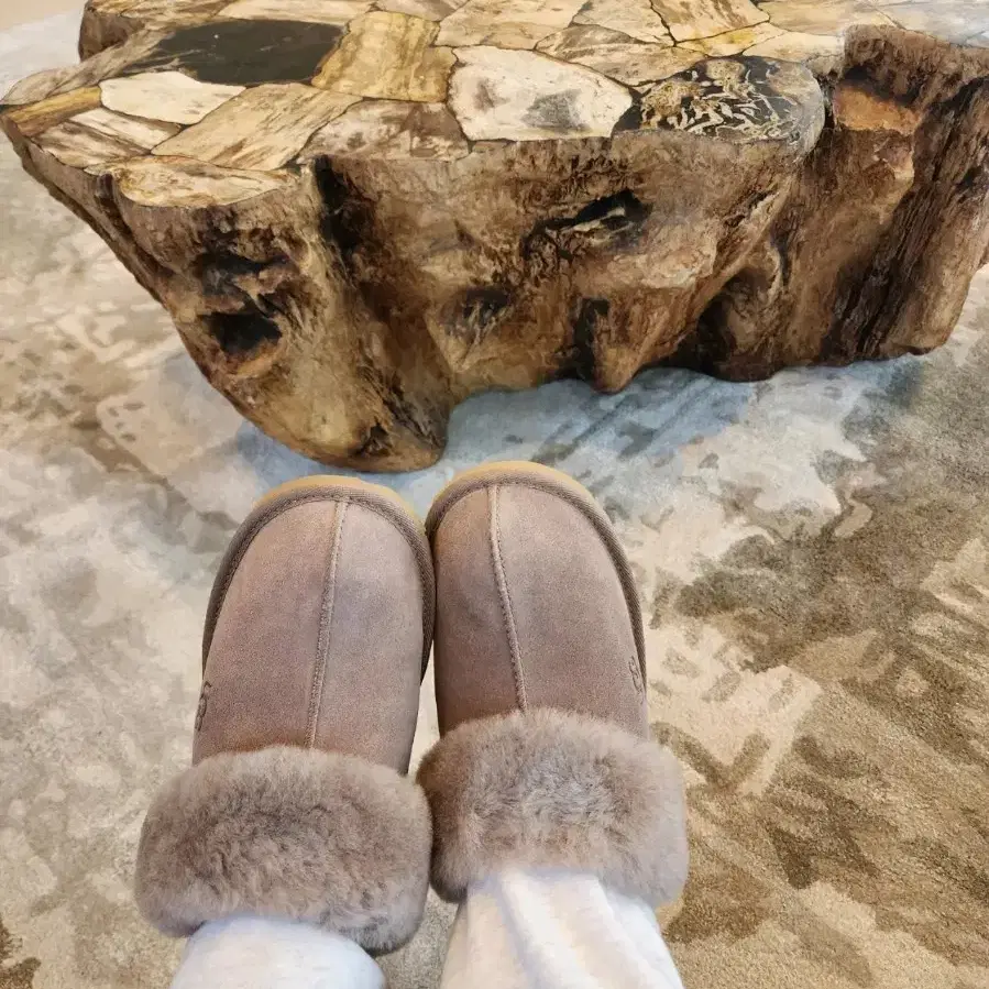 UGG COZY2 빅걸즈5사이즈 카리부색상