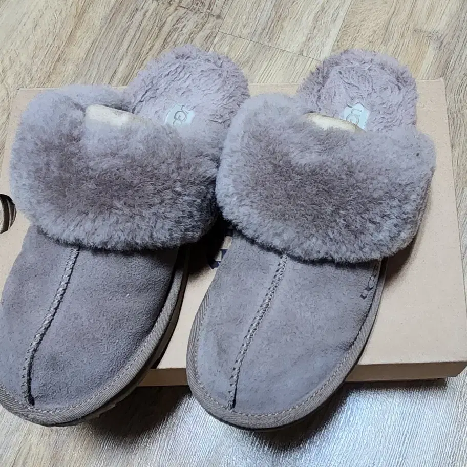 UGG COZY2 빅걸즈5사이즈 카리부색상