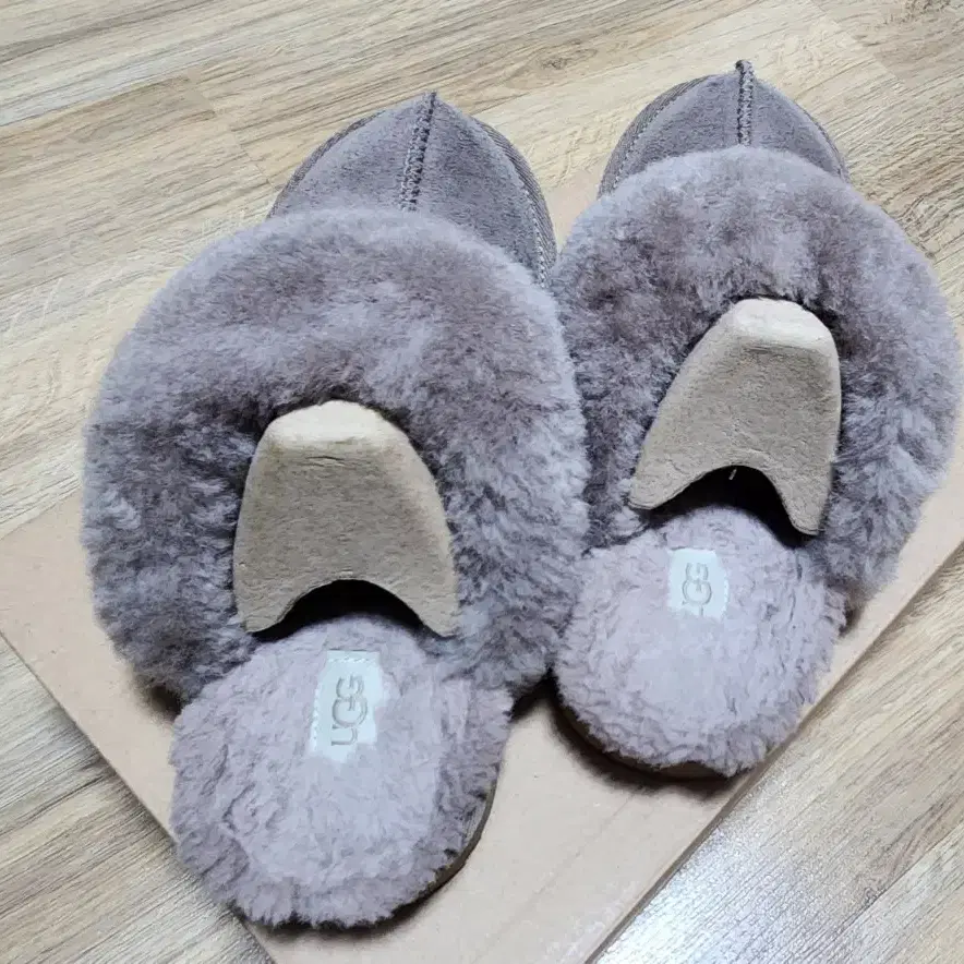 UGG COZY2 빅걸즈5사이즈 카리부색상