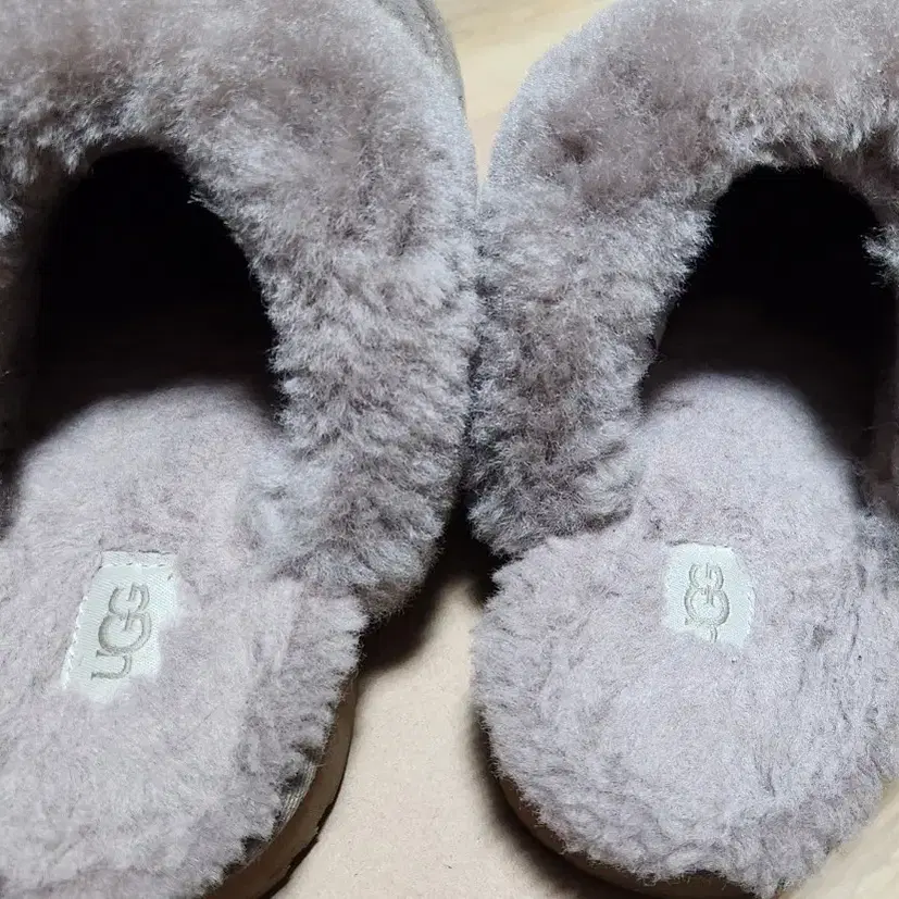 UGG COZY2 빅걸즈5사이즈 카리부색상