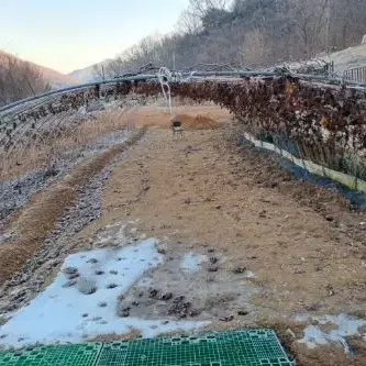 하늘마.열매마