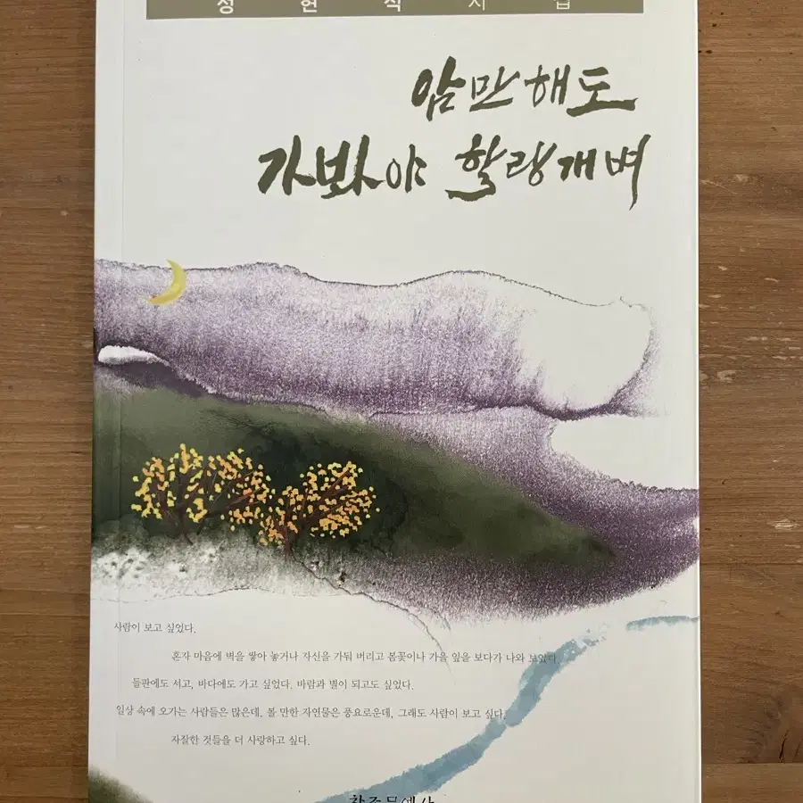 암만해도 가봐야 할랑개벼 : 정현식 시집