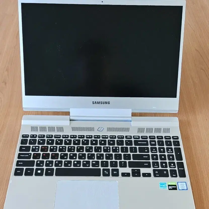 삼성 오디세이 NT850XBW-XD7A GTX1650(램 업글)