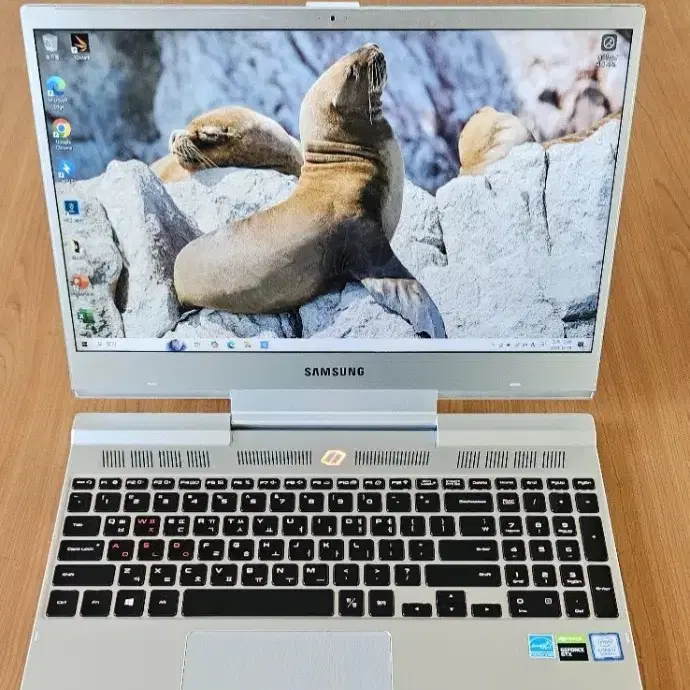 삼성 오디세이 NT850XBW-XD7A GTX1650(램 업글)