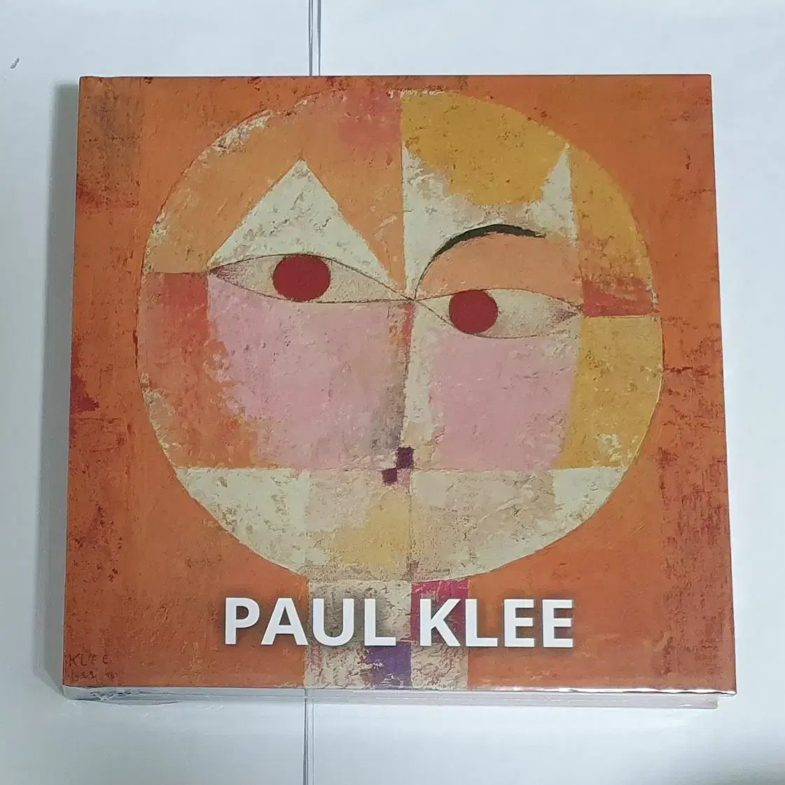 파울 클레 Paul Klee 명화 도록 예술 도서 서적 아트