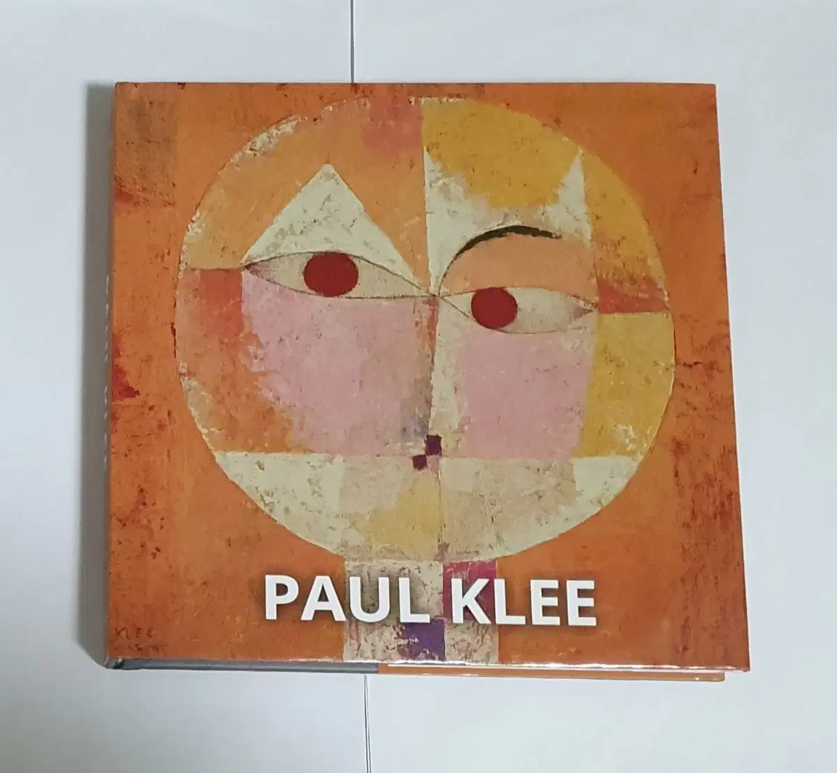 파울 클레 Paul Klee 명화 도록 예술 도서 서적 아트