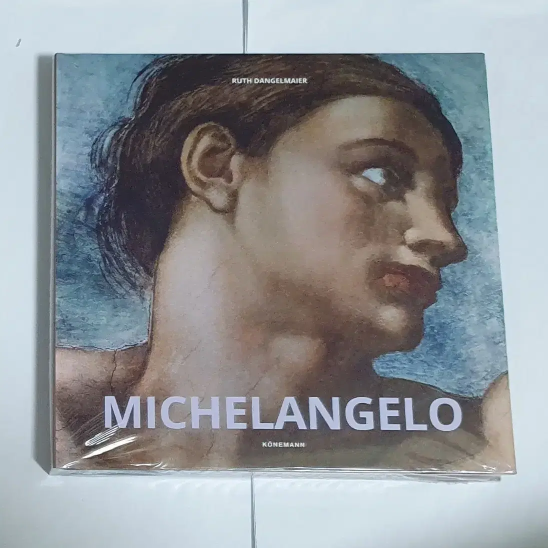 미켈란젤로 Michelangelo 명화 도록 예술 도서 서적 아트