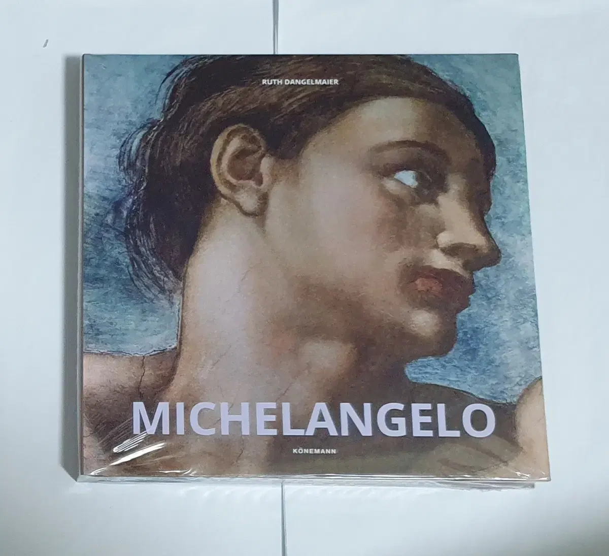 미켈란젤로 Michelangelo 명화 도록 예술 도서 서적 아트