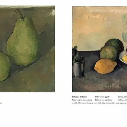 세잔 Cezanne 명화 도록 예술 도서 서적 아트