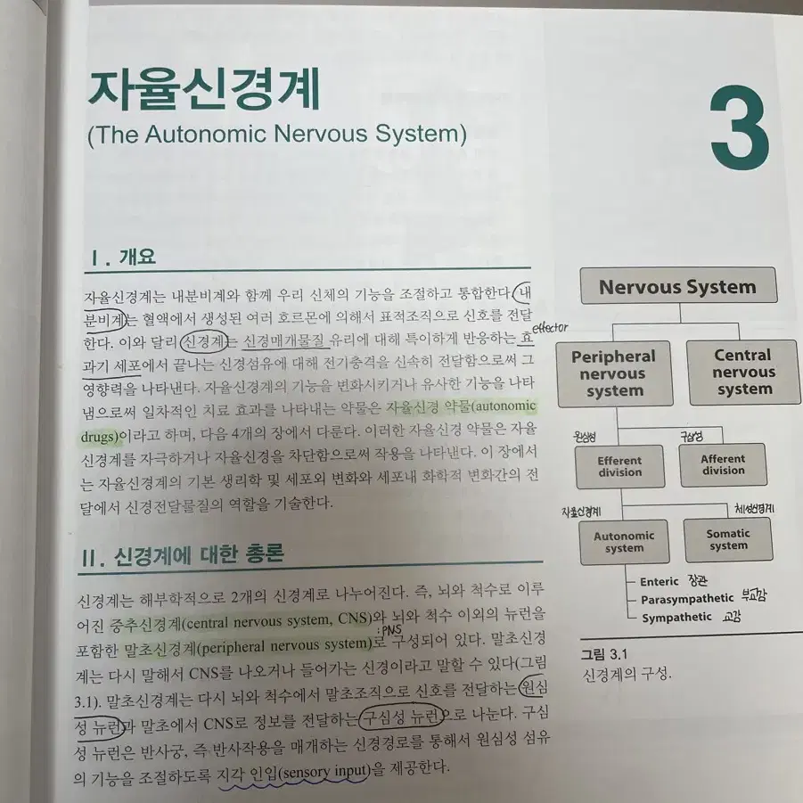 리핀코트의 그림으로 보는 약리학 (제7판) 신일북스