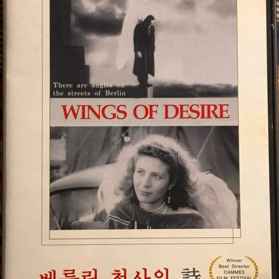 DVD 슬램덩크 풀세트 베를린 천사의 시 미녀삼총사 제니,주노 싱스트리트