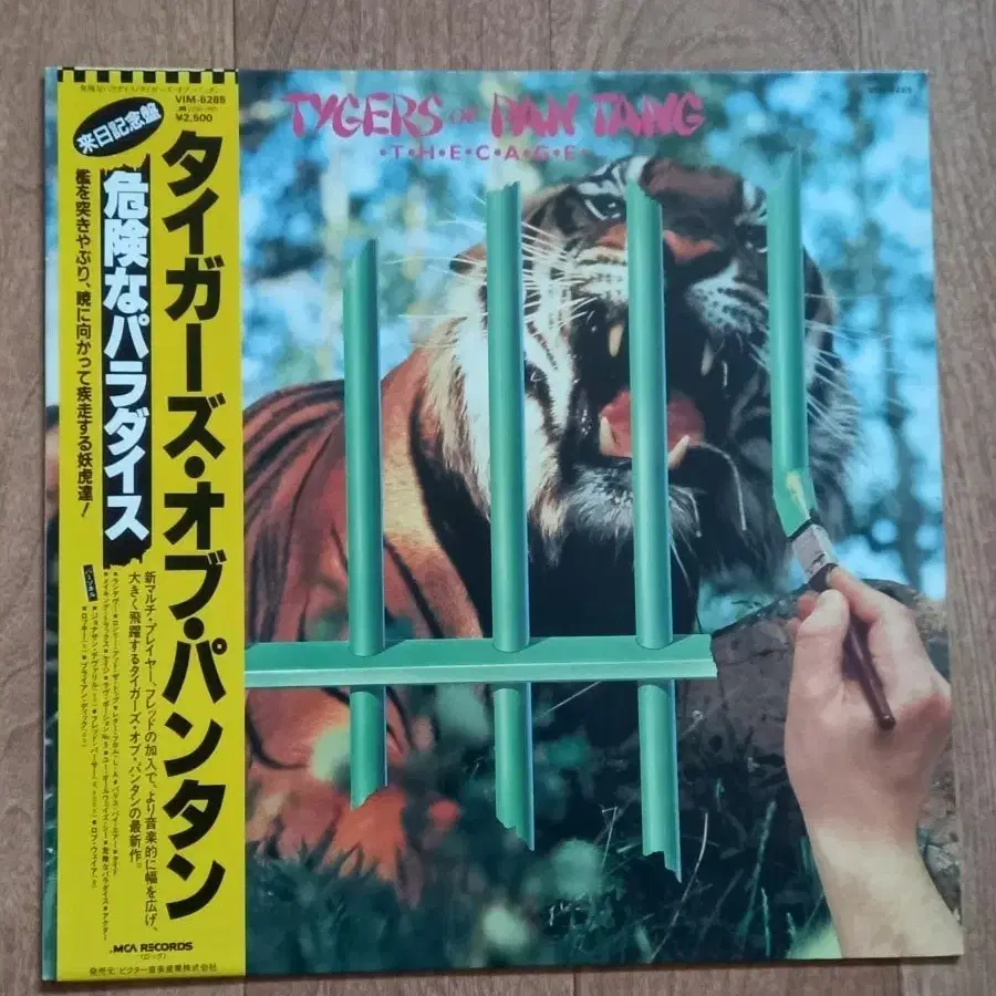 tygers of pan tang lp 일본반 엘피