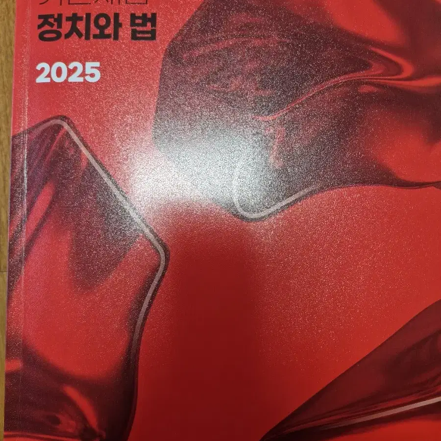 2025 최적 기선제압 정치와 법