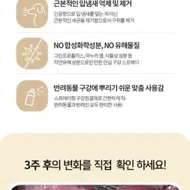 강아지 뿌리는 치약 / 프로베티 덴티 프리미엄 스프레이 / 입냄새 치석