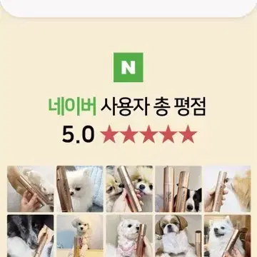 강아지 뿌리는 치약 / 프로베티 덴티 프리미엄 스프레이 / 입냄새 치석