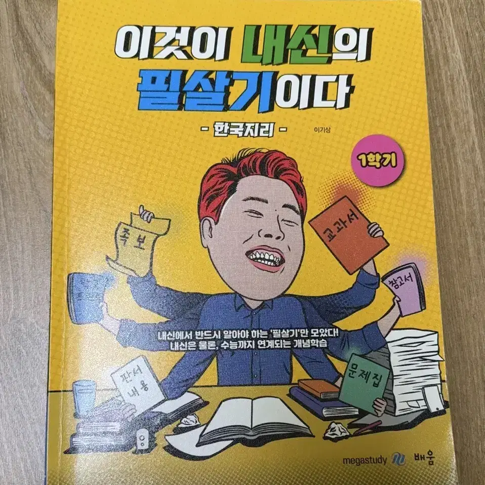 이기상 한국지리